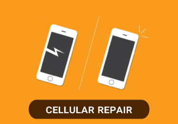 Cell Repair