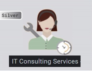 Consulting for 30 minutes – Support Premium